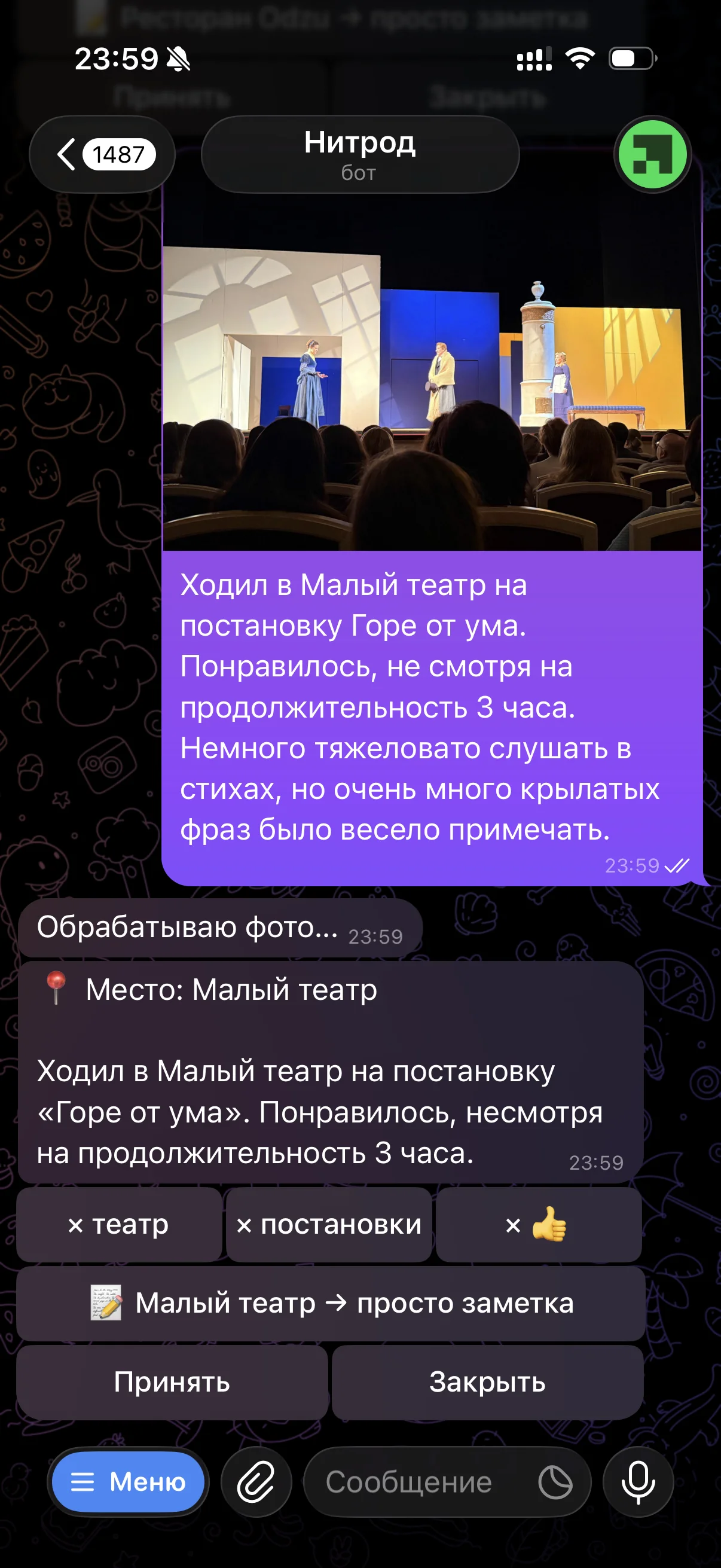 Скриншот Telegram-бота Нитрода: заметка о посещении театра